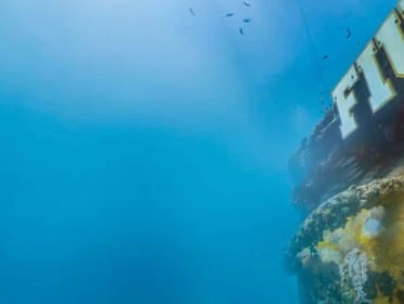 FIU та Tekmara за допомогою ШІ розвивають підводні середовища існування людей